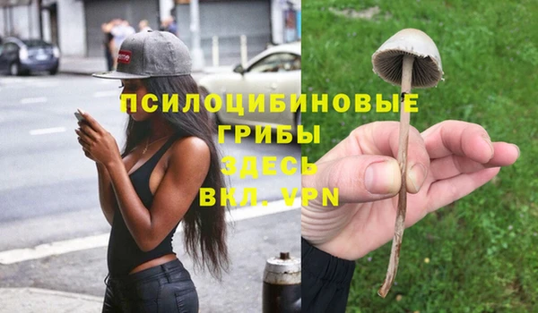 мдпв Волоколамск