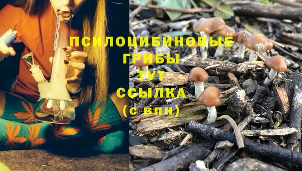 марихуана Володарск
