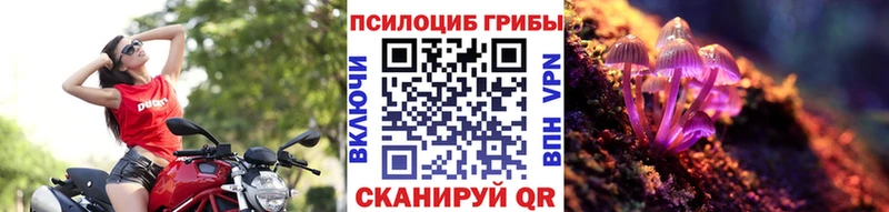 Псилоцибиновые грибы Psilocybe  цена   KRAKEN ССЫЛКА  Энгельс 